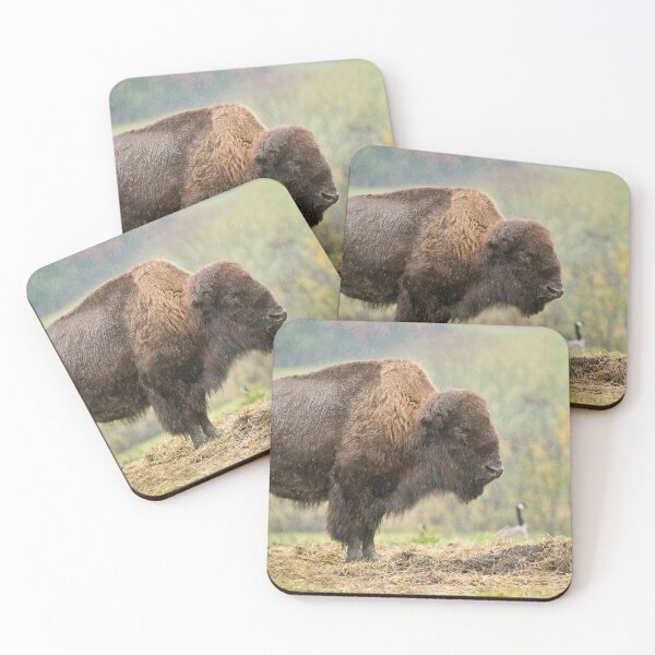 Item preview, Bison designed and sold by Michael Cummings.