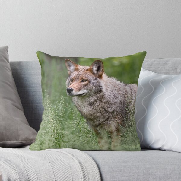Item preview, Coyote designed and sold by Michael Cummings.