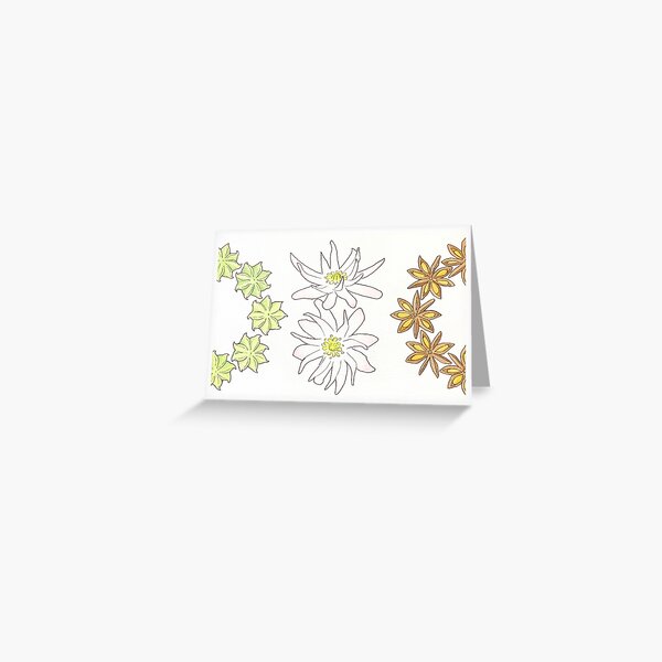 Seasonal Spices: Star Anise Greeting Card