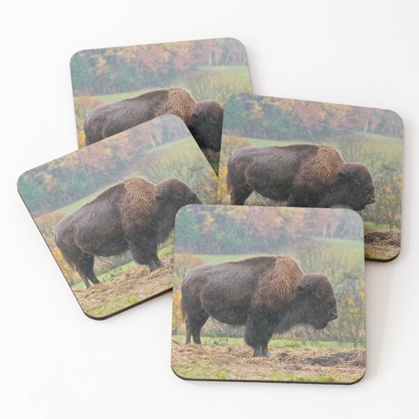 Item preview, Bison designed and sold by Michael Cummings.