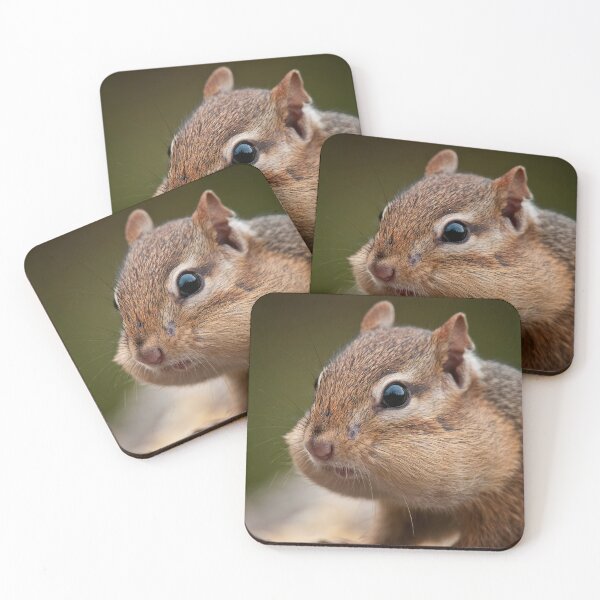Item preview, Chipmunk designed and sold by Michael Cummings.