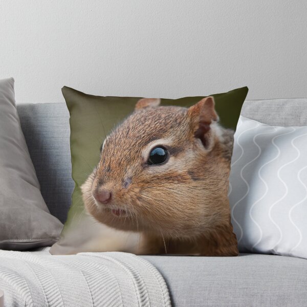 Item preview, Chipmunk designed and sold by Michael Cummings.