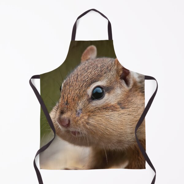 Item preview, Chipmunk designed and sold by Michael Cummings.