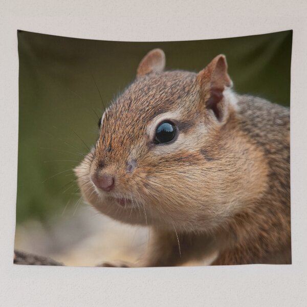 Item preview, Chipmunk designed and sold by Michael Cummings.