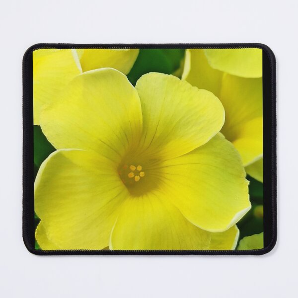 Item preview, Yellow Bloom designed and sold by EventHorizon.