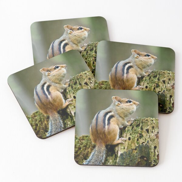 Item preview, Chipmunk designed and sold by Michael Cummings.