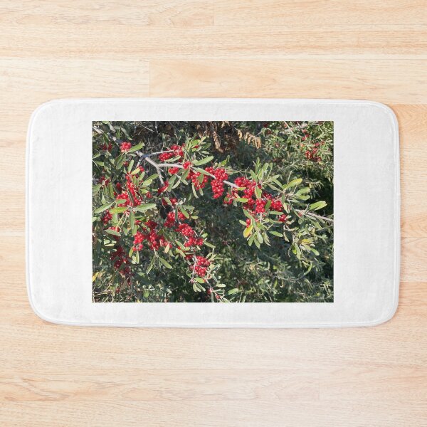 Item preview, Berry Bushes designed and sold by Connor Thomson.