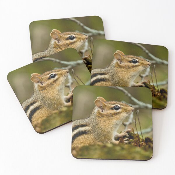 Item preview, Chipmunk designed and sold by Michael Cummings.