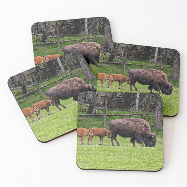 Item preview, Bison With Calves designed and sold by Michael Cummings.