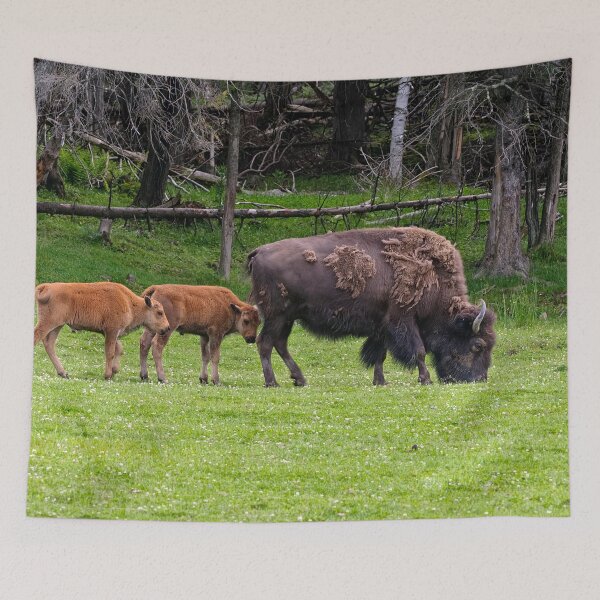 Item preview, Bison With Calves designed and sold by Michael Cummings.