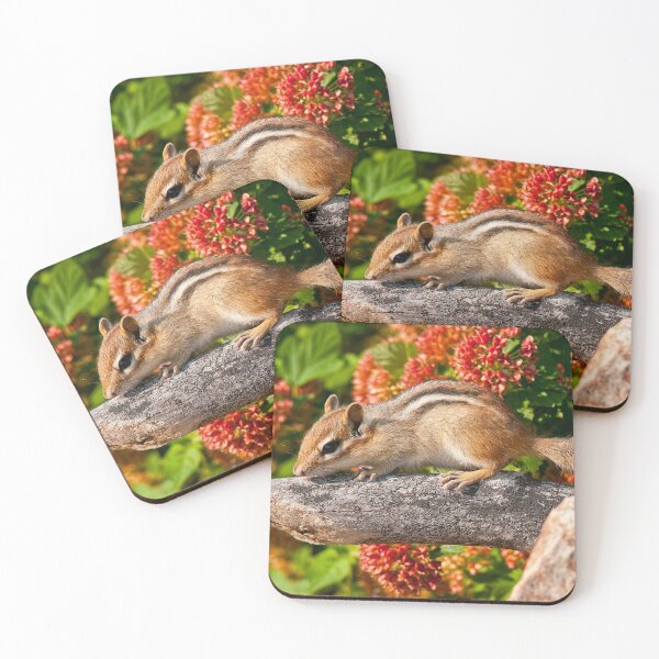 Item preview, Chipmunk designed and sold by Michael Cummings.