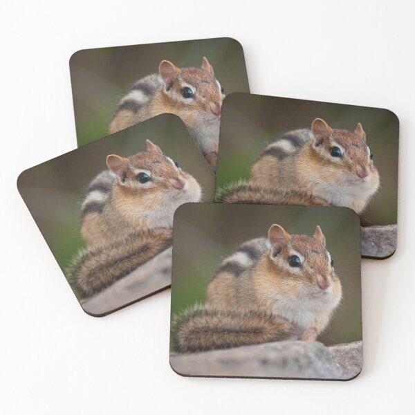 Item preview, Chipmunk designed and sold by Michael Cummings.