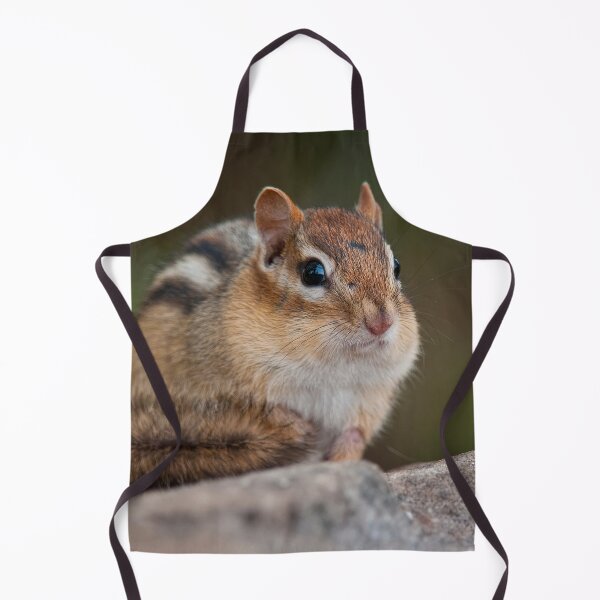 Item preview, Chipmunk designed and sold by Michael Cummings.