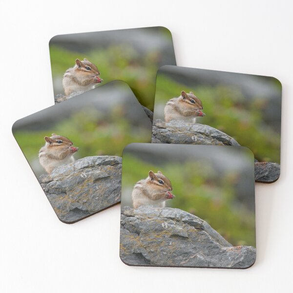 Item preview, Chipmunk designed and sold by Michael Cummings.