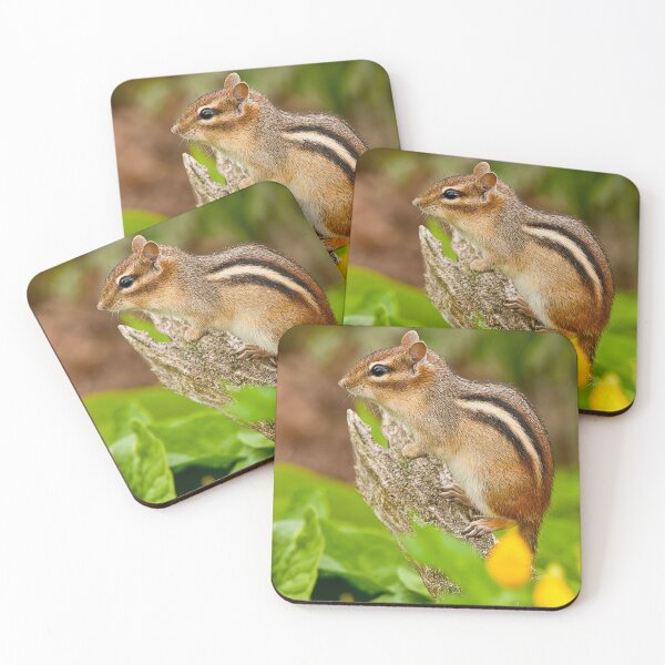 Item preview, Chipmunk designed and sold by Michael Cummings.