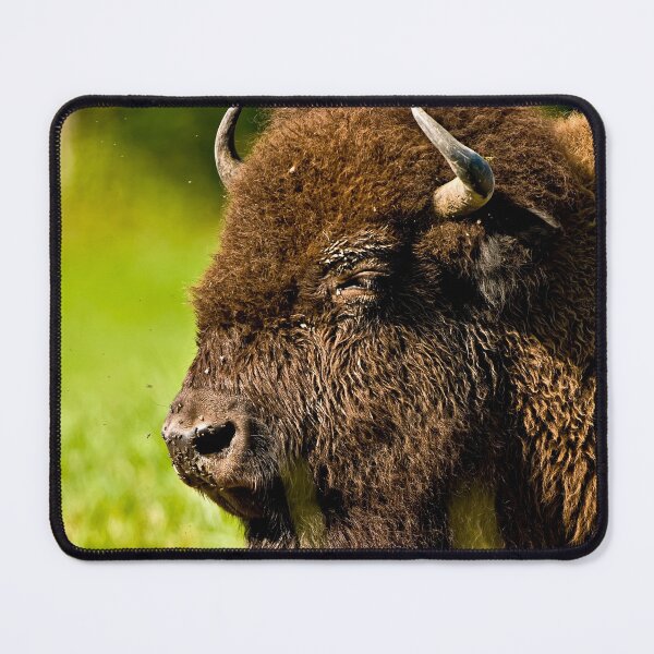 Item preview, Bison designed and sold by Michael Cummings.