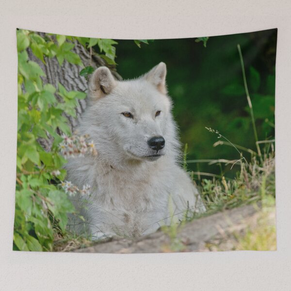 Item preview, Arctic Wolf designed and sold by Michael Cummings.