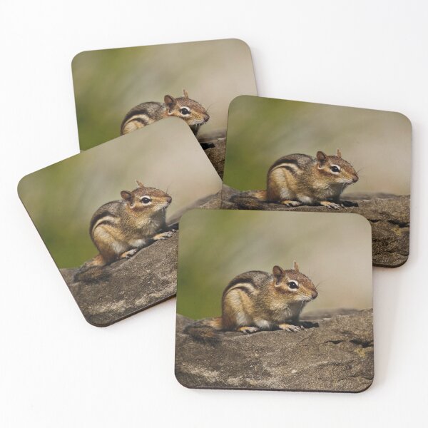 Item preview, Chipmunk designed and sold by Michael Cummings.