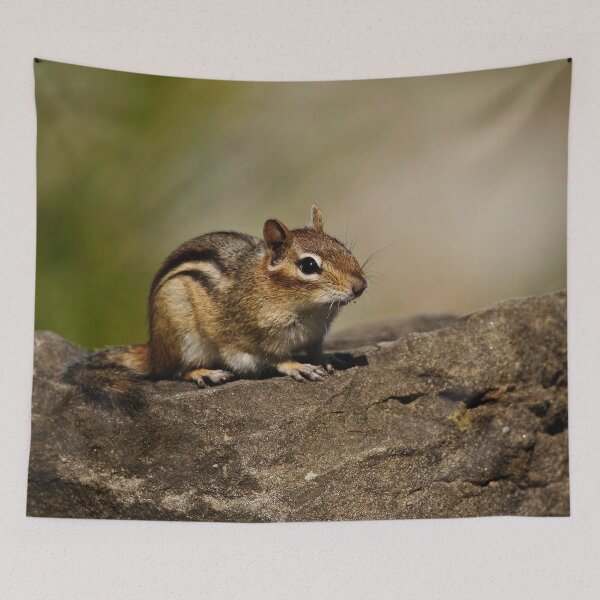 Item preview, Chipmunk designed and sold by Michael Cummings.