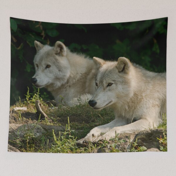 Item preview, Arctic Wolves designed and sold by Michael Cummings.