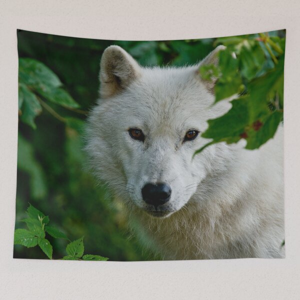 Item preview, Arctic Wolf designed and sold by Michael Cummings.