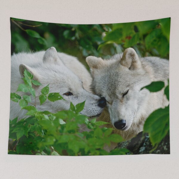 Item preview, Arctic Wolves designed and sold by Michael Cummings.