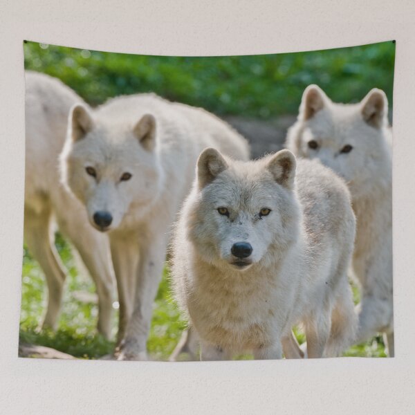 Item preview, Arctic Wolf designed and sold by Michael Cummings.
