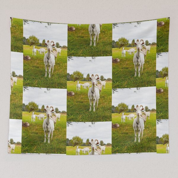 Item preview, Domestic goats on green pasture designed and sold by Lukasz Szczepanski.