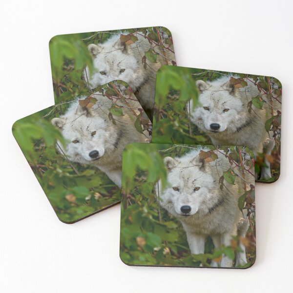 Item preview, Arctic Wolf designed and sold by Michael Cummings.