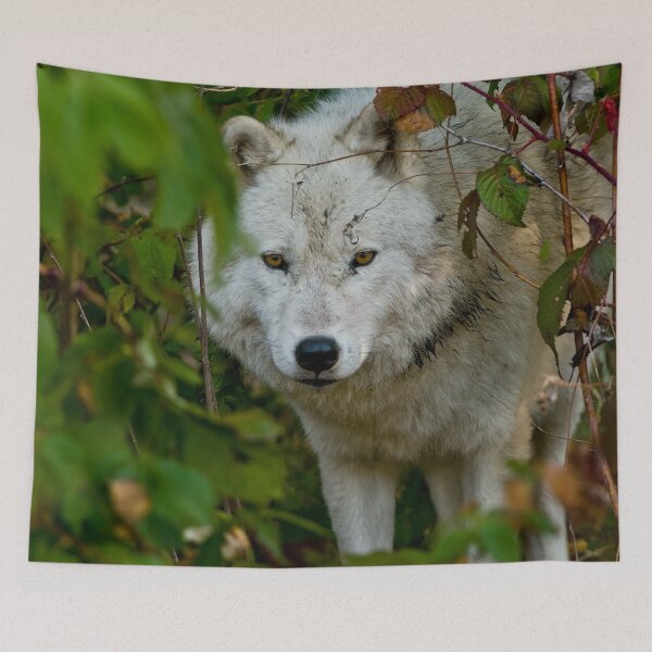 Item preview, Arctic Wolf designed and sold by Michael Cummings.