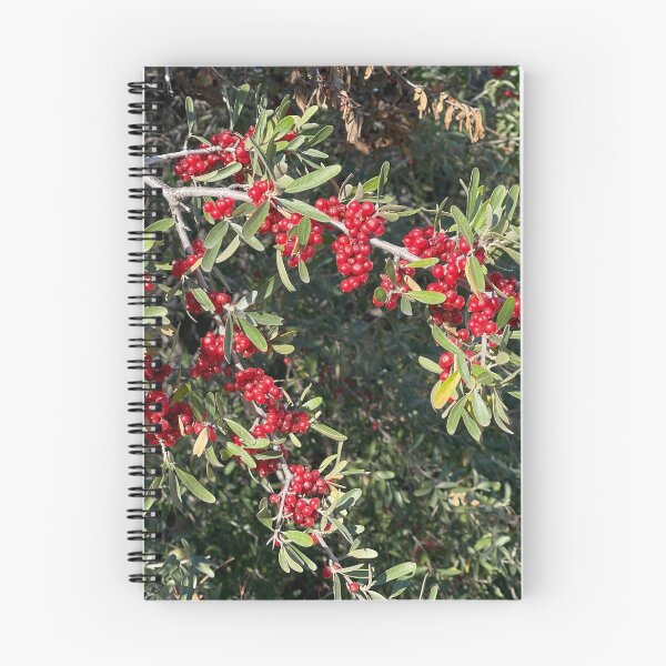 Item preview, Berry Bushes designed and sold by Connor Thomson.