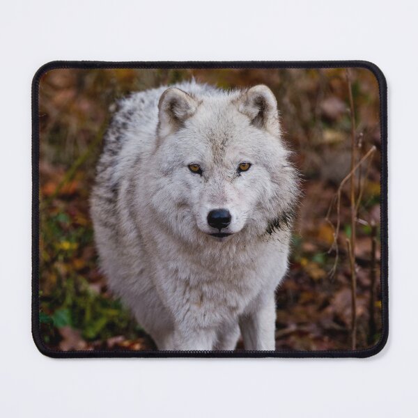 Item preview, Arctic Wolf designed and sold by Michael Cummings.