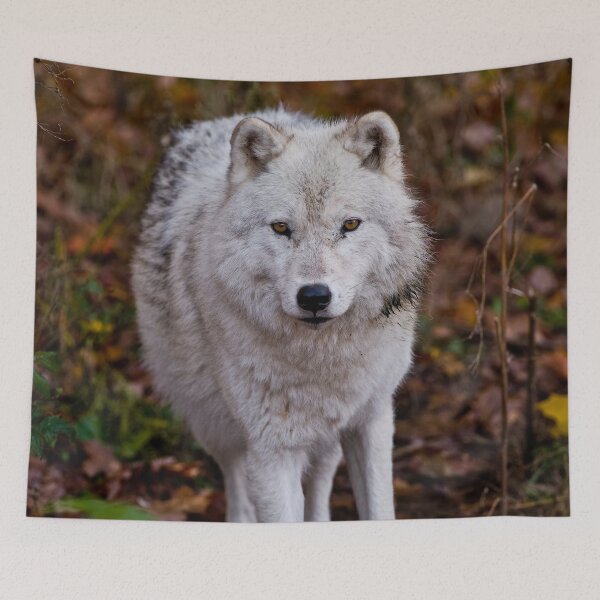 Item preview, Arctic Wolf designed and sold by Michael Cummings.