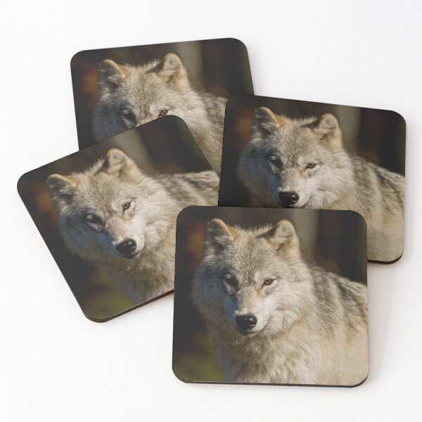 Item preview, Arctic Wolf designed and sold by Michael Cummings.