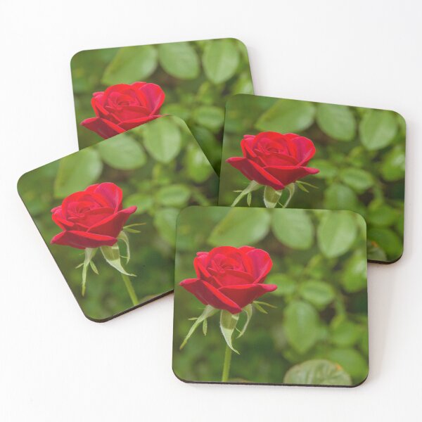 Item preview, budding red rose close up designed and sold by rajeshbac.