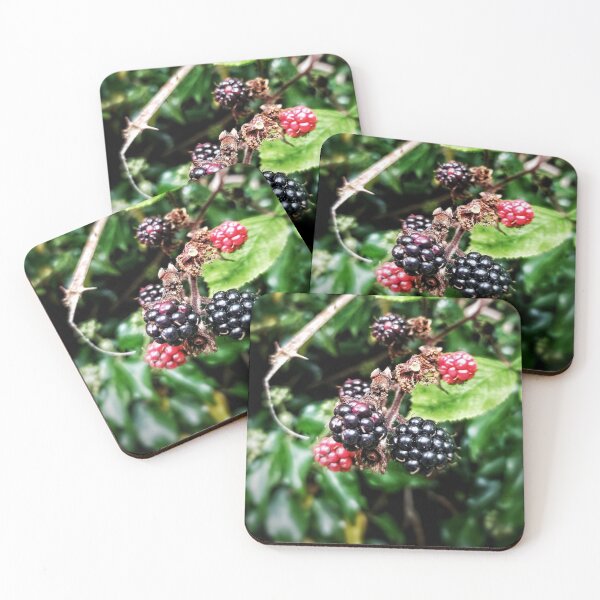Item preview, Blackberries designed and sold by yyolka.