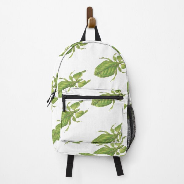Item preview, Vintage Scientific Illustration of a Leaf Insect designed and sold by bookishneighbor.