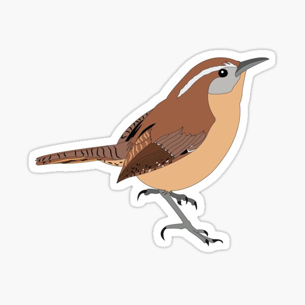 Carolina Wren Sticker