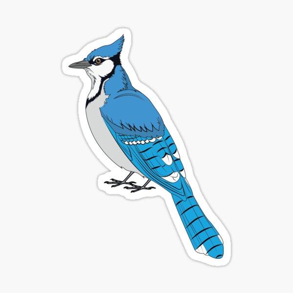 Cute Cartoon Blue Jay T-Shirts & Gifts < Birdorable