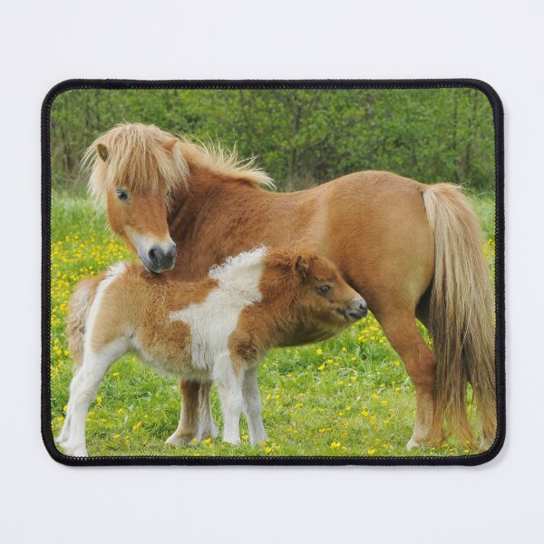 Item preview, Shetland Pony and Young designed and sold by ScienceSource.