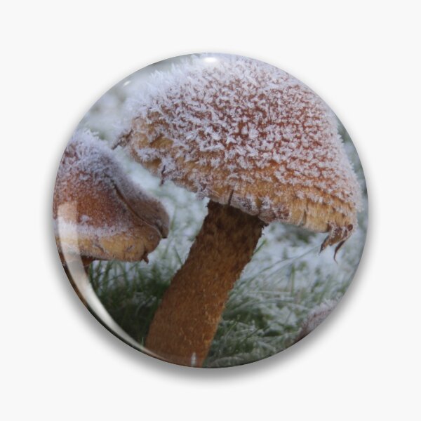 Item preview, Frozen Mushrooms designed and sold by Calidris Fotografie Steffi & Ben Köppler.
