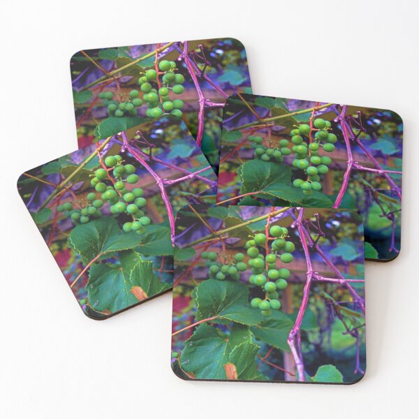 Item preview, Hanging on the Vine designed and sold by Brian Shaw.