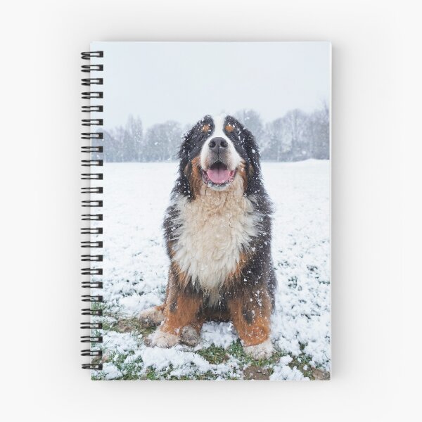 Item preview, Bernese Mountain Dog in the snow designed and sold by AlbertandOlly.