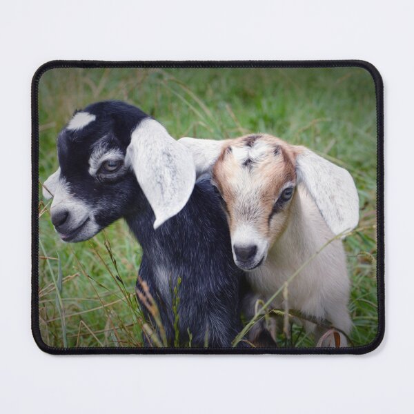 Item preview, Baby Goats designed and sold by Savannah Gibbs.