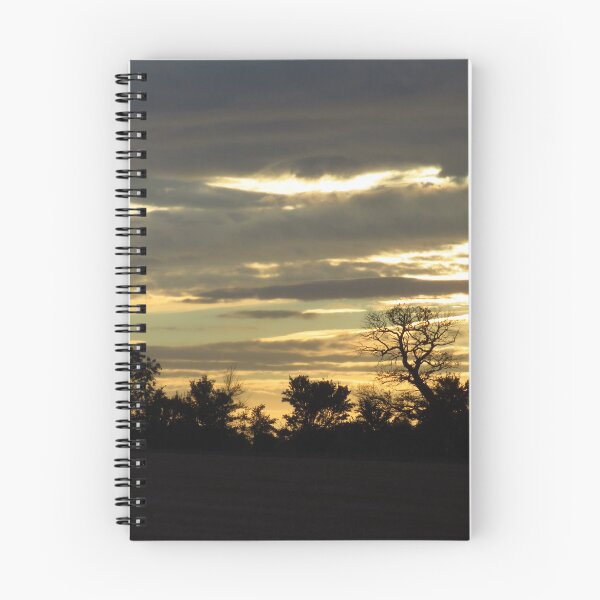 Item preview, Treescape Sunset, Hemingstone, Suffolk designed and sold by wiggyofipswich.