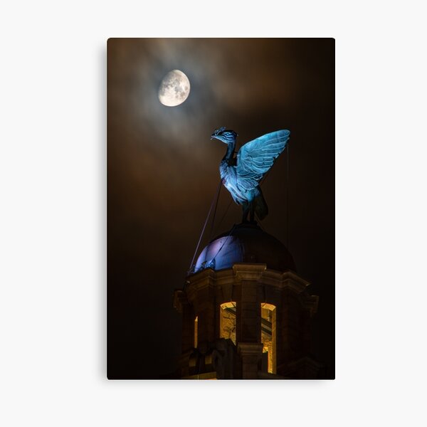Lunar Liver Birds Canvas Print