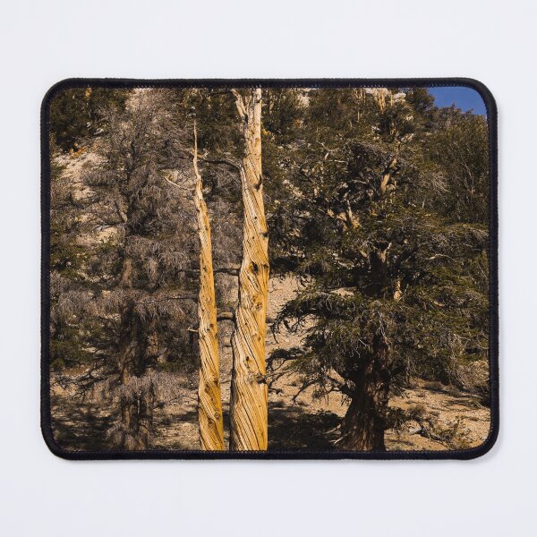 Item preview, Trees in the Ancient Bristlecone Pine Forest along White Mountain Road east of Bishop, California designed and sold by OrcaNature.