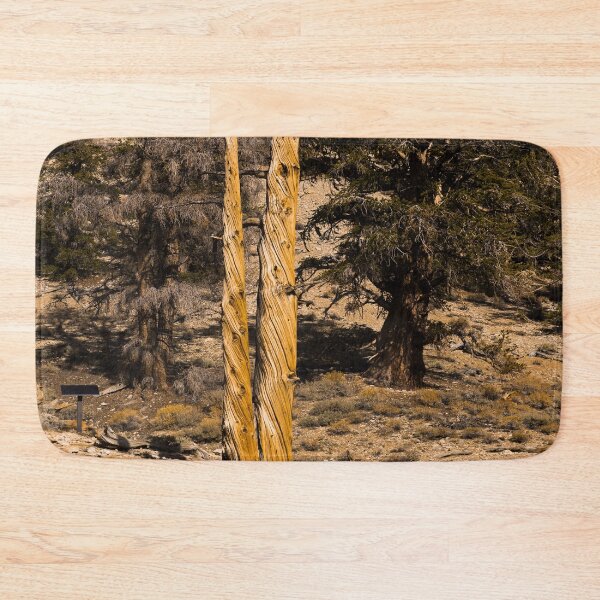 Item preview, Trees in the Ancient Bristlecone Pine Forest along White Mountain Road east of Bishop, California designed and sold by OrcaNature.