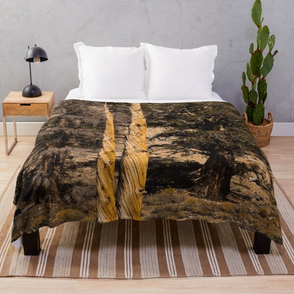 Item preview, Trees in the Ancient Bristlecone Pine Forest along White Mountain Road east of Bishop, California designed and sold by OrcaNature.