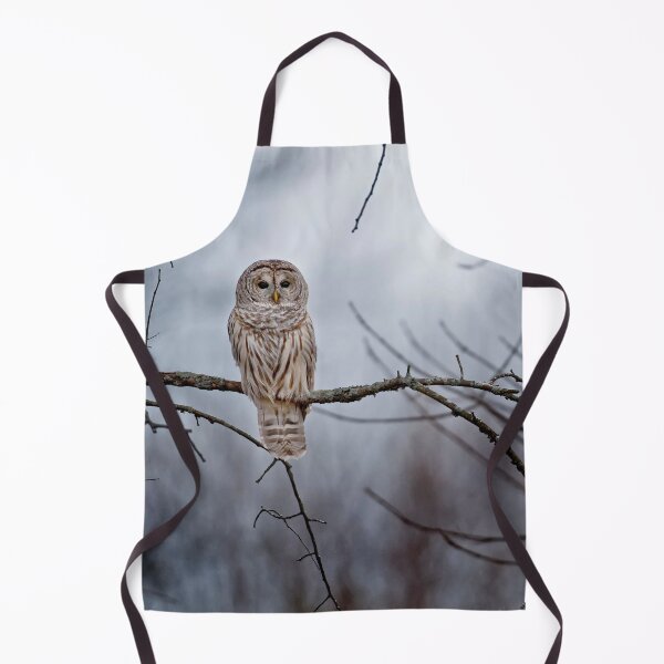 Item preview, Barred Owl  designed and sold by Michael Cummings.